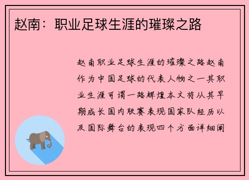 赵南：职业足球生涯的璀璨之路